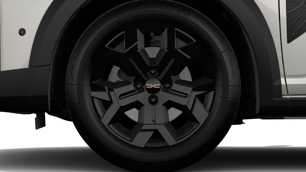 Image (3)