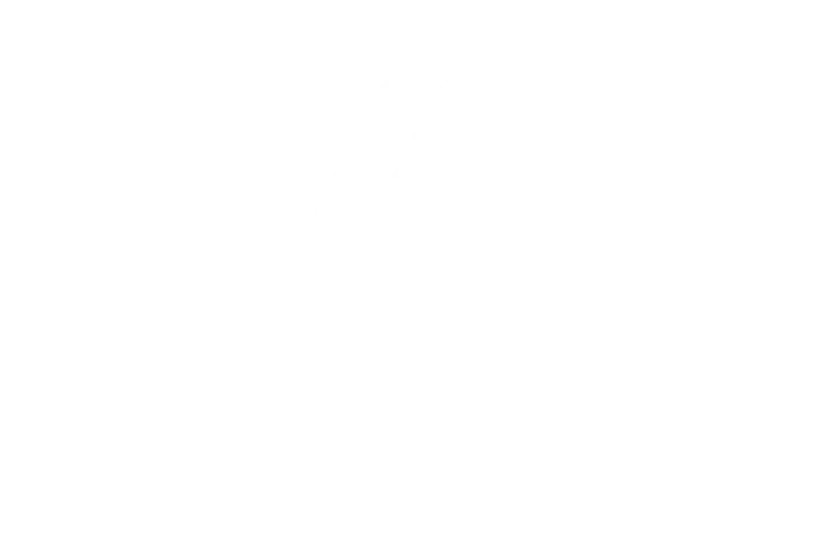 logo-renault.webp logo-renault.webp
